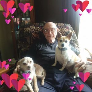 Meet your Posher, Ernest